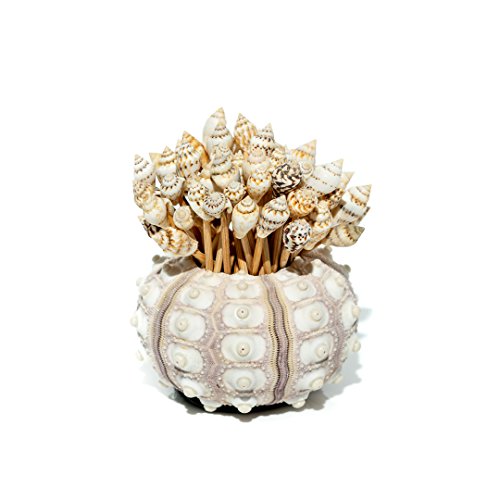 Nautical Crush Trading Sea Shell Toothpicks with Sputnik Holder | Sea Shell Party