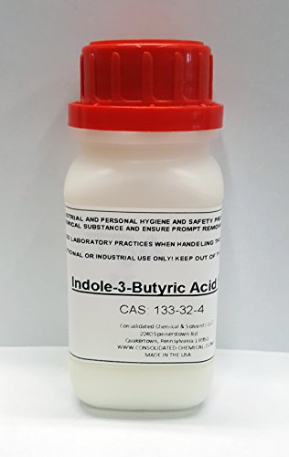 IBA-K Indole Butyric Acid Water Soluble >98% Pure indole-3-butyric acid 10 Grams