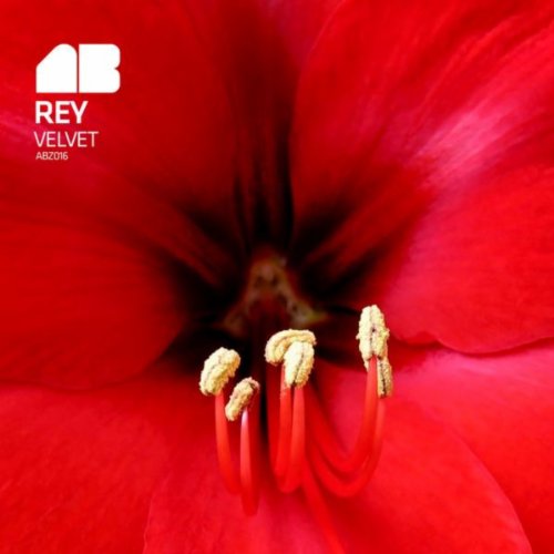 Velvet Attachment Rey Amazon.com: Velvet : Rey: Digital Music