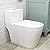 Compact One Piece Toilet, Dual Flush 1.1/1.6 GPF Elongated Standard Toilet for Bathroom, Comfort Height Seat, Modern Compact Standard Toilet for Bathroom, 12" Rough-In, White