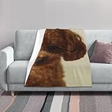 Zoom IMG-1 zouey barboncino toy nero coperta
