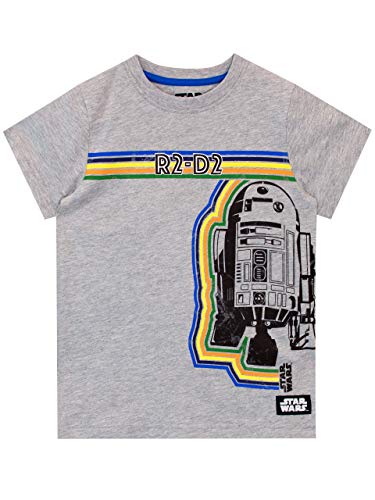 STAR WARS Boys' R2-D2 T-Shirt