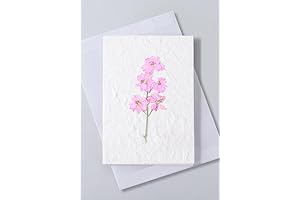Larkspur Card: Real pressed flowers notecard with handmade paper