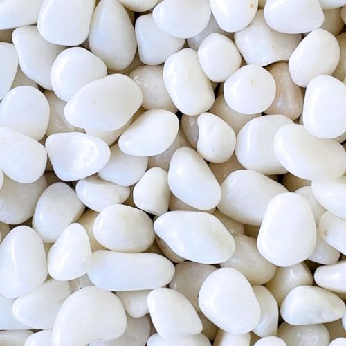 大理石の砂利 白磨玉砂利(白磨砂利・白玉石磨き)ポリッシュ 光沢 20kg袋 6サイズ(約6〜70mmまで)ガーデニング/庭/ガーデニング化粧砂利 (1寸5分)