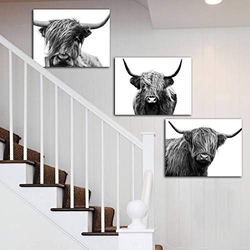 Gardenia Art Scottish Cow Canvas Print Animal Painting Wall Art For Living Room Pet Shop Zoo Decoration 12X16 Inch/Piece, Framed, 3 Panels #TOP4