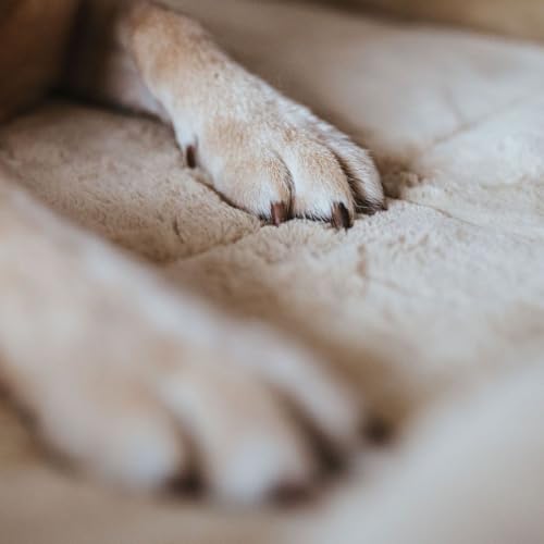HUNTER Hundematte VERMONT COZY, komfortabel & gepolstert, erhöhter Rand, besonders weich & kuschelig, rutschhemmend, universell einsetzbar, waschbar, Farbe: beige, Größe: S