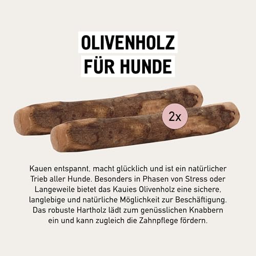 Kauies Olivenholz Kaustab für Hund mit Olivenöl - 100% natürlich, vegan & kalorienfrei - langelebiges Hunde-Spielzeug aus schadstoffgeprüftem Holz, Made in Germany, Größe M bis 20 kg (2er Pack)