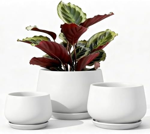 LE TAUCI Macetas, 10+13+16cm Macetero, Juego De 3 Macetas De Cerá...