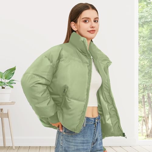 Women’s Winter Cropped Puffer Jacket Coat Casual Quilted Baggy Long Sleeve Zip Down Jackets Outerwear - Image 6