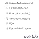 EVERLAB Darmgesundheits Test – Darmflora Plus Untersuchung auf Darmbakterien, Candida, Leaky Gut u.v.m. – Stuhltest – Selbsttest für Zuhause