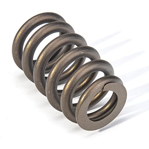 3Mirrors 03081GM01X16 16Pcs Ls Valve Springs thumb #1