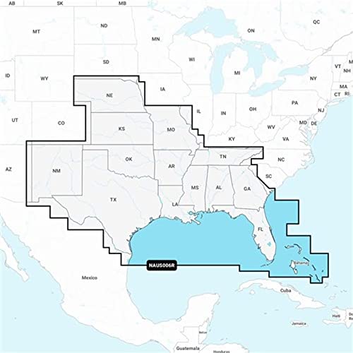 Navionics Garmin 010-C1369-30 carte microSD U.S. South