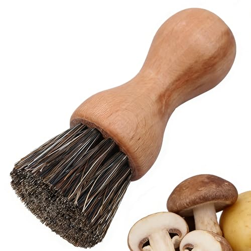 1 Stück Champignonbürste Pilzpinsel Kartoffelbürste gemüsebürste Küchenbürste Holzspülbürste Handflächenbürste aus Natürlichem Bambus und Rosshaar zur Reinigung von Geschirr Topf Töpfe Pfannen