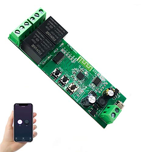 Newgoal Modulo relè Smart Switch WiFi a 2 canali, TUYA/App Smart Life per telecomando Smart Home, tempo momentaneo regolabile, compatibile con Alexa/Google Assistant