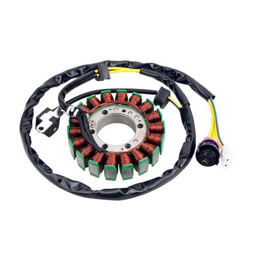 Bobine de stator pour réparer les pannes d'allumage de VTT 300 cc FA-H300