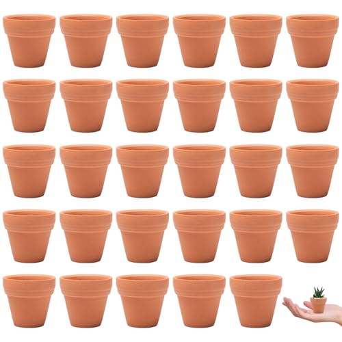 Pilikoll 30 Piezas Mini Maceta de Barro con Orificio de Drenaje 3.5x3 cm Mini Macetas para Flores de Terracota Macetas de Barro Rojo Mini Macetas de Terracota para Plantas Semillas Cactus