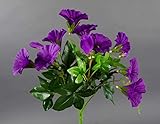 Seidenblumen Roß
