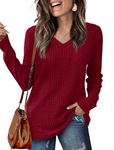 Saloogoe Womens Long Sleeve Tops V Neck Shirts Lightweight Tunic Sweaters Fashion 2024