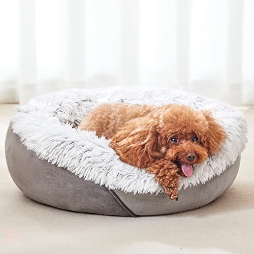 Joejoy Calming Dog Bed For Small Dogs thumb #5