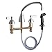 Kitchen Sink Faucet W/Spray