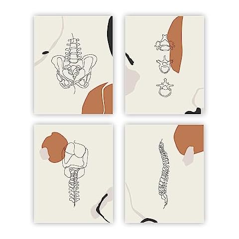 heilkee Line Art Wall Decor Anatomy Posters Therapy Office Decor Abstract Boho Wall Art Minimalistic Room Decor, Spine, Pelvis, Doctor Gifts Set of 4(UNFRAMED 8x10in) Cover