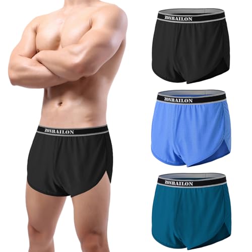 ZONBAILON Mens Mesh Sexy Sheer See Through Shorts Boxer Underwear Loose Lounge Unlined Trunks M L XL 2XL 3XL