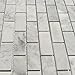 Stone Center Online Carrara White Marble 1x2 Medium Brick Mosaic Tile Honed Kitchen Bath Wall Floor Backsplash Shower (1 Sheet)