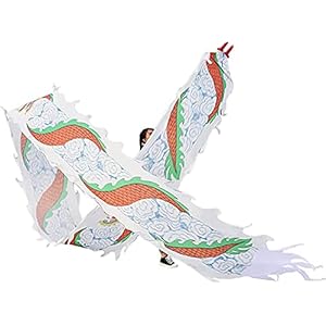 Oefenlint Streamer Silk Dragon Dance Ribbon Streamer, 3D Kleurrijke Dragon Silk Flowy Spinning & Shaking Poi