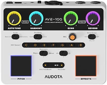 AUDOTA AVE-100 Multi-Effect Vocal Processor - Triple Intelligent Loop Cancellation