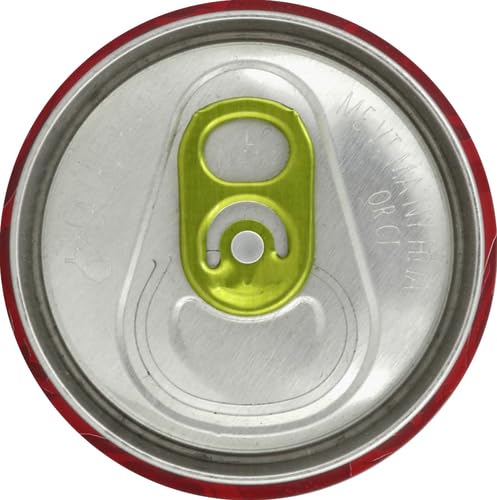 Starbucks Refreshers Strawberry Lemonade Sparkling Juice Blend, 12 Fl Oz (Pack of 1)