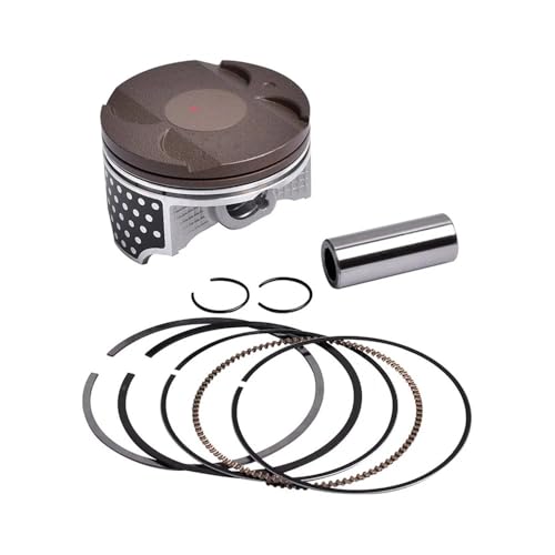 Kit de piston et d'anneaux 130010742 pour moteur EX300 aux tolérances strictes