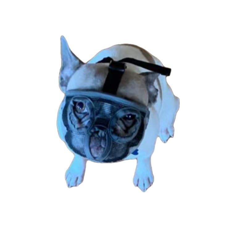 Short Snout Dog Muzzle Mesh Bulldog Muzzle Anti-Biting Barking Chewing, Adjustable (Lake Blue) (L)