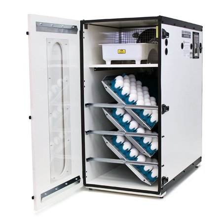 Professional Egg Incubator Cabinet Digital LCD Display Picture Window 1500 product thumbnail 2