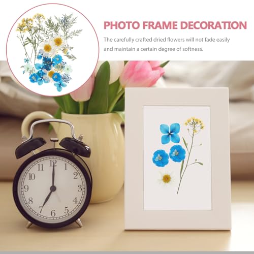 Kit de flores secas prensadas para manualidades, 33 piezas azules miniatura 7