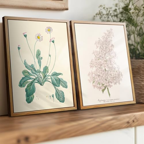 crmotu Botanical Framed Wall Art, Daisy Vintage Decor Pictures, Minimalist Floral Canvas Prints, Still Life Flower Nature Wall Decor, Bathroom Bedroom Above Bed Kitchen Rustic Home Decor, 9x11 inch