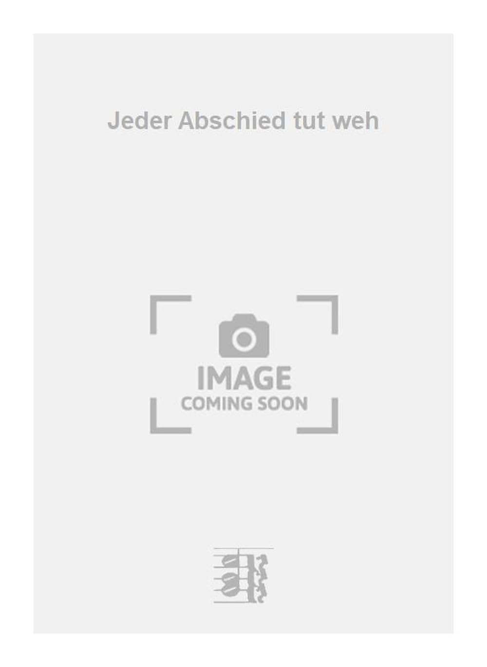 Jeder Abschied tut weh. Vocal And Piano.