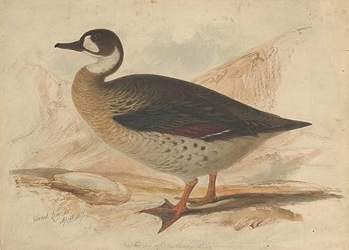 De Célèbres Tableaux Poster Canard ailé en bronze Edward Leaars