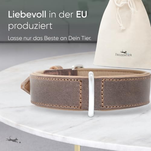 FREUDENTIER Hundehalsband aus zertifiziertem Leder - Gepolstert & super komfortabel - Made in Holland - Hunde Halsband inkl. Geschenksäckchen - Amstelpark Kollektion (25.5-33.5cm, Dark Chocolate)