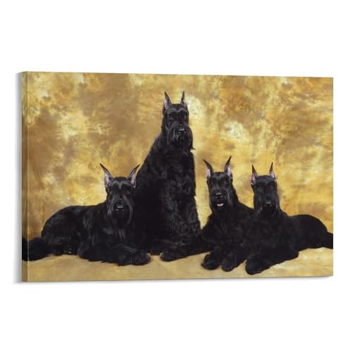 Impression sur toile schnauzer 40x60cm pour salon