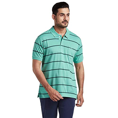Image of Colorplus Men's Pure Cotton Stripe Pattern Classic Fit Polo Neck Half Sleeve Casual T-Shirt