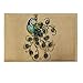 24’’ x 16’’ Coral Fleece Anti-Slip Rug Carpet Floor Door Mat (Peacock)