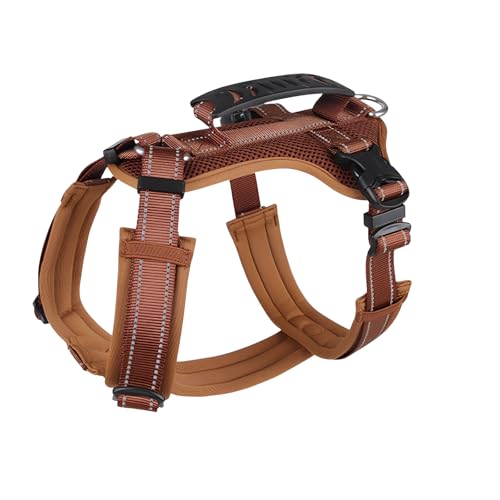 [lalarimi]^Upy˃n[lXzpxXg h~@\ŖԂS yʁy[͐݌vz^p ybt