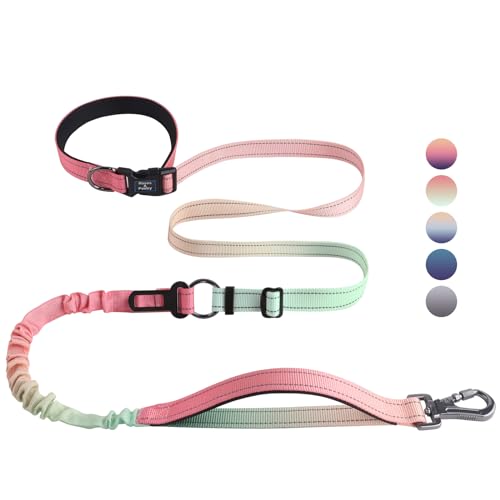 Roses&Poetry Hands Free Dog Leash for Medium Large Dogs Heavy Duty No Pull Bungee Dog Running Waist Leash for Walking Training with Car Seatbelt 4-6FT