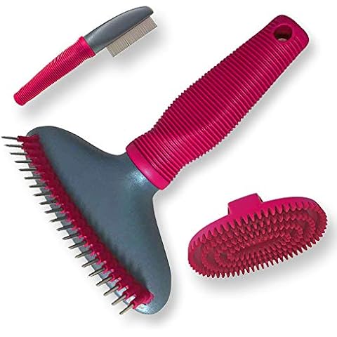 Enrych Undercoat rake Plus Bonus Items. Flea Comb & Rubber Curry Brush. Grooming Set for All Dogs, red and Gray (1083) Cover