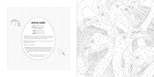 Animals: A Smithsonian Coloring Book Box Set - Image 9