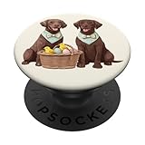 Easter Labrador Retriever Dogs Cute Baby Chicks