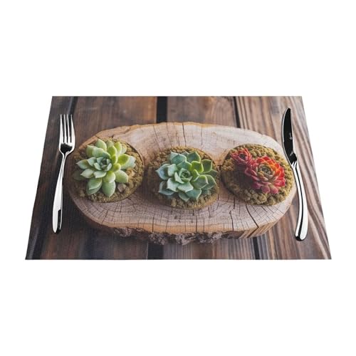 Set de table thermorésistant et anti-tache en PVC tissé pour cuisine - 4