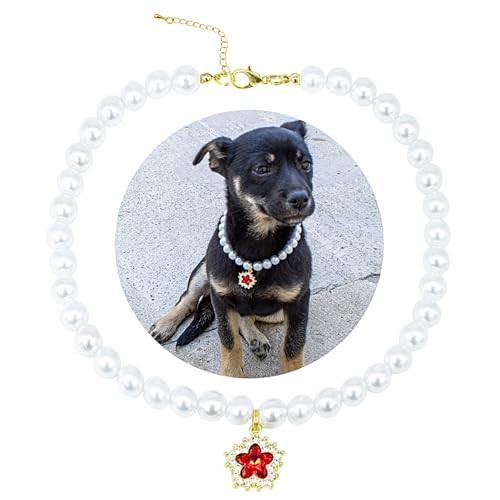 SM4BED  L  p[lbNXAzCgr[Y 킢Ԃ̋PCXg[_ChA߉\ȎqWG[A^^ybgpAL 14C`