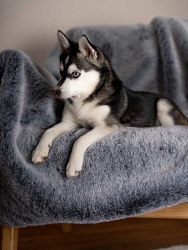 TrendPet Yuma Felldecke - Kuschelige Premium Hundedecke, geeignet für Hunde und Katzen oder in XXL als Sofadecke (170 x 100cm)