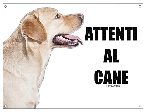 Labrador Retriever - Biglietti di auguri vuoti con stampa di cani